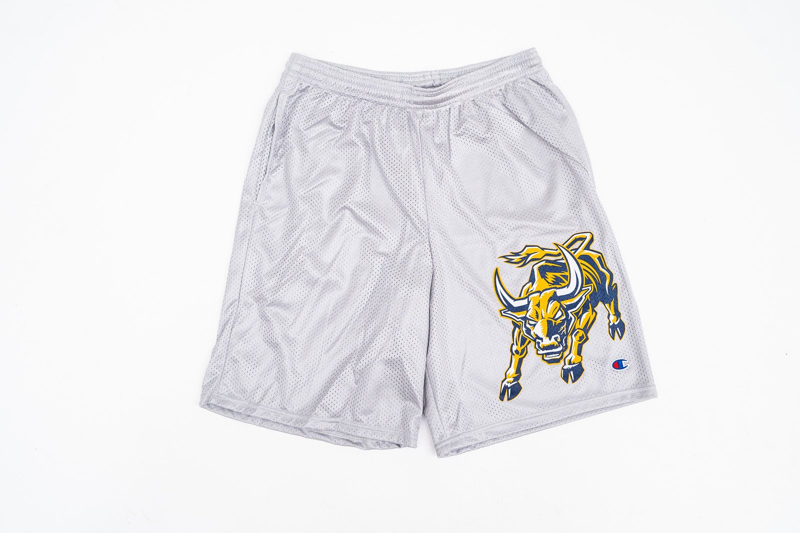 Champion athletic 2025 mesh shorts